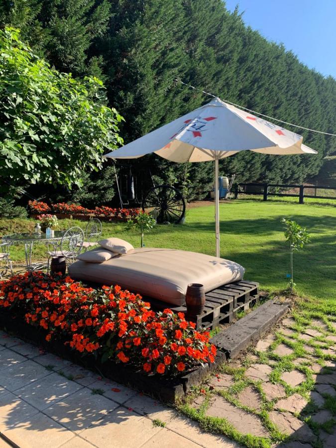 Agroturismo Anziola Oiartzun Eksteriør bilde